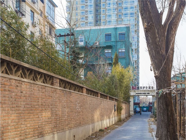 浙江涤纶市场价格